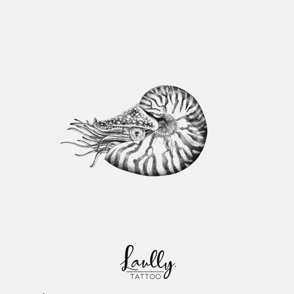 nautilus tattoo flash style cabinet de curiosité la main de bois