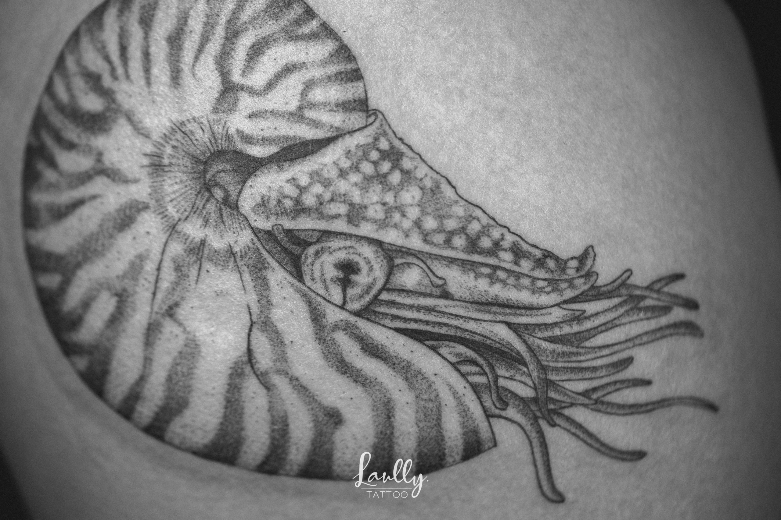 Nautilus marin tatouée à la valette-du-var